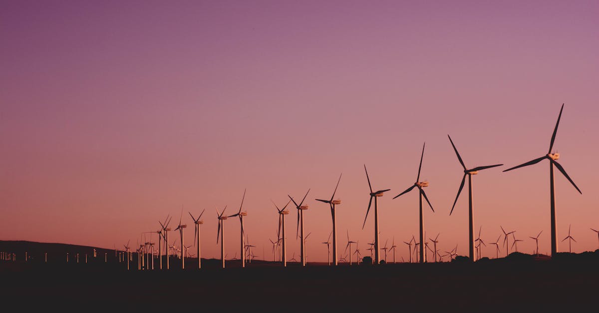 découvrez les principes de la durabilité et comment adopter des pratiques éco-responsables pour préserver notre planète pour les générations futures. informez-vous sur les initiatives, les innovations et les modes de vie durables.