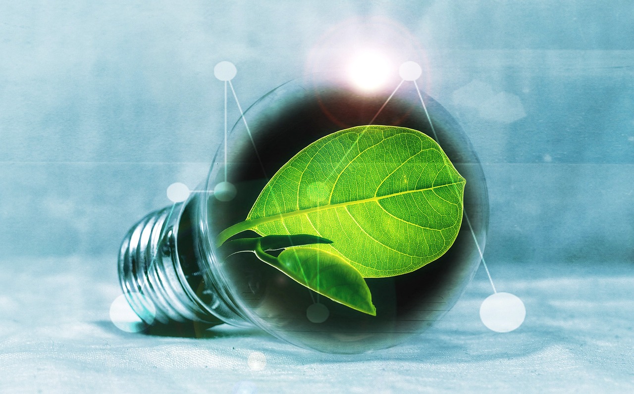 découvrez les enjeux et solutions de la transition énergétique pour un avenir durable, alliant énergies renouvelables et réduction des impacts environnementaux.