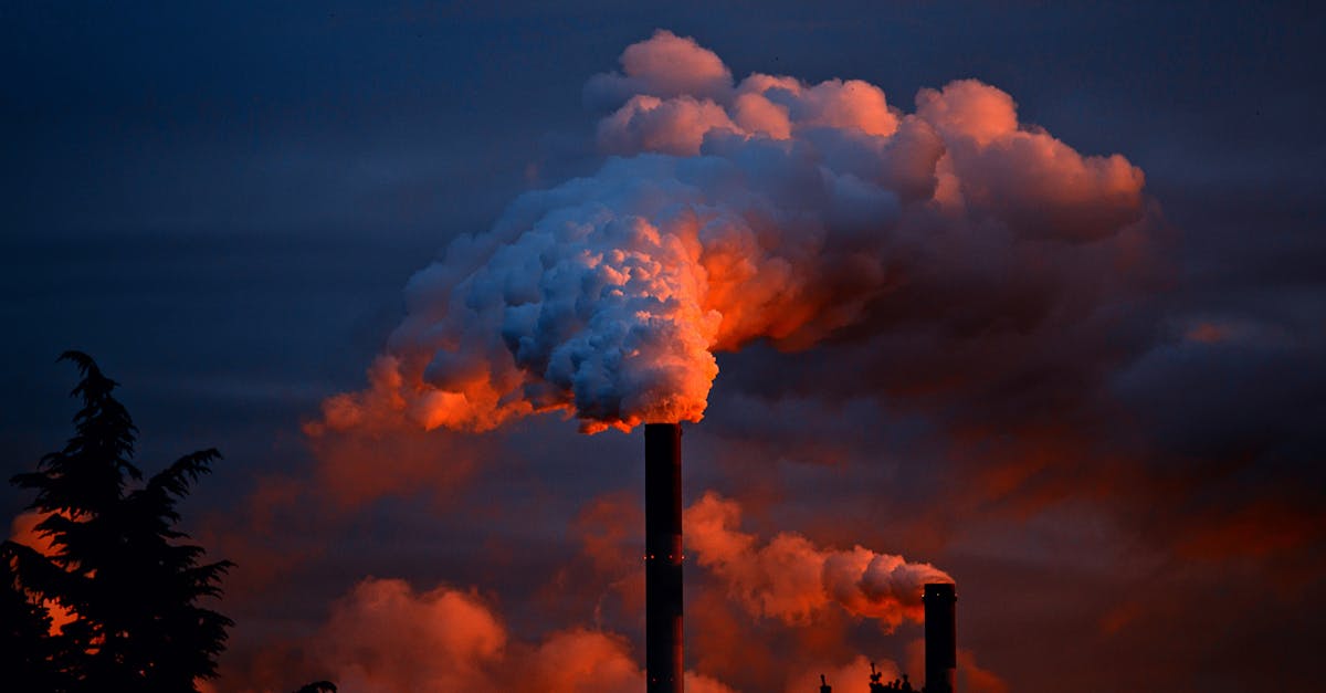 découvrez comment réduire votre empreinte carbone et contribuer à la lutte contre le changement climatique. apprenez des astuces pratiques pour vivre de manière plus durable et protéger notre planète.