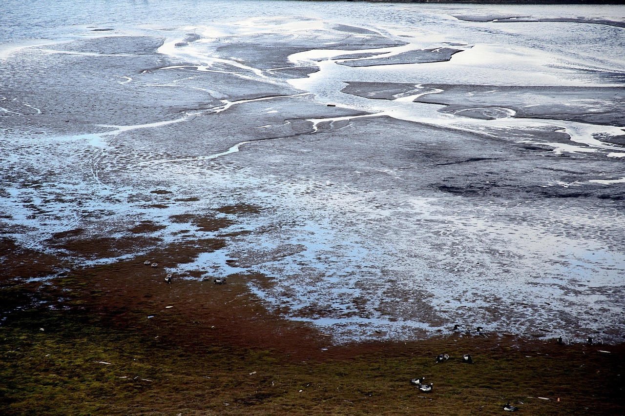 découvrez ce qu'est le permafrost, son rôle dans l'environnement, son importance face au changement climatique et les conséquences de sa fonte sur notre planète.