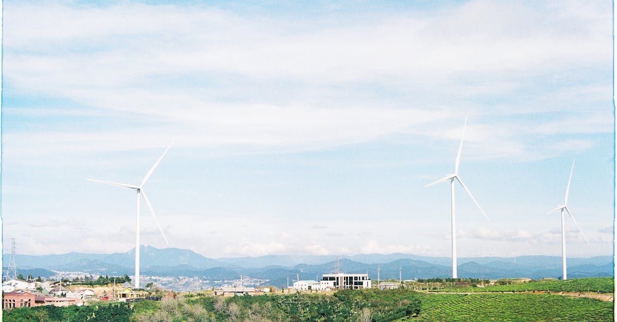 découvrez les principes de l'économie verte, un modèle durable qui favorise la croissance tout en préservant l'environnement. apprenez comment cette approche innovante peut transformer nos sociétés et promouvoir un avenir plus respectueux de la planète.