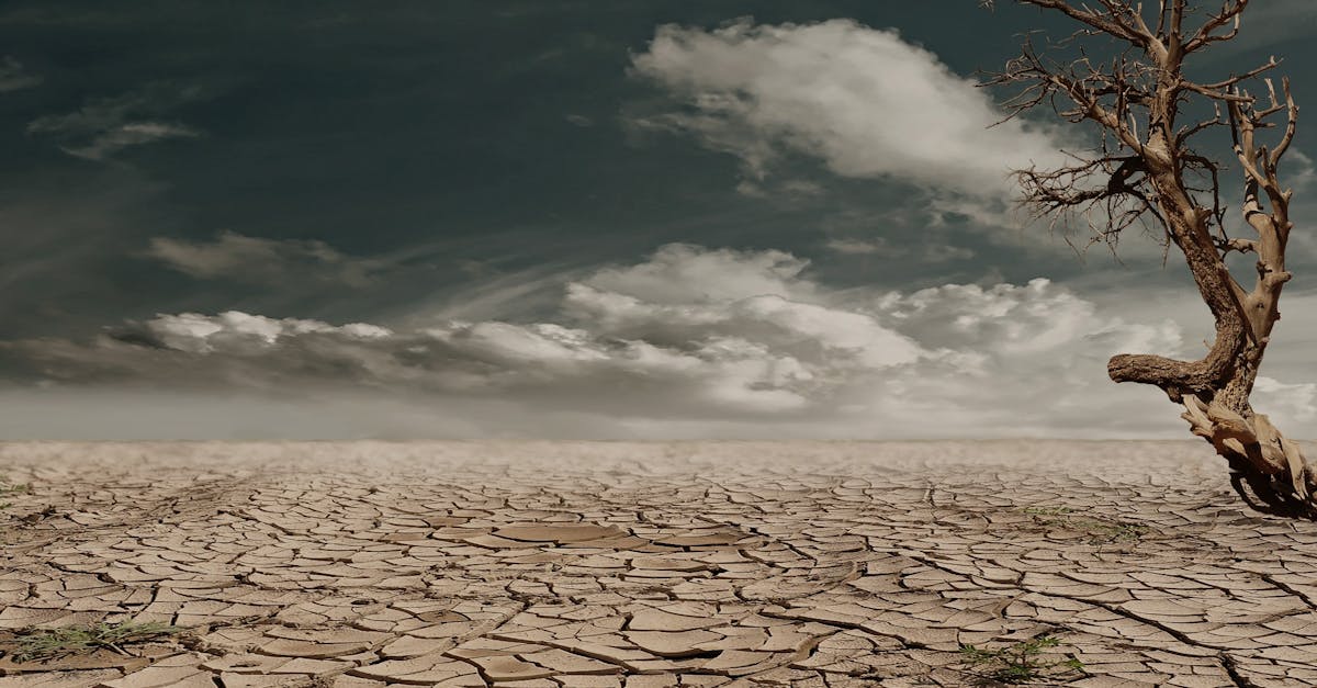 découvrez l'impact du changement climatique sur notre planète, ses causes, ses conséquences et les actions que nous pouvons entreprendre pour un avenir durable.