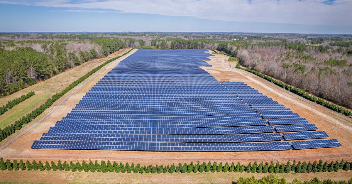 découvrez l'investissement durable, une approche qui allie rentabilité et respect de l'environnement. explorez comment financer des projets éthiques et contribuer à un avenir meilleur tout en maximisant vos retours sur investissement.