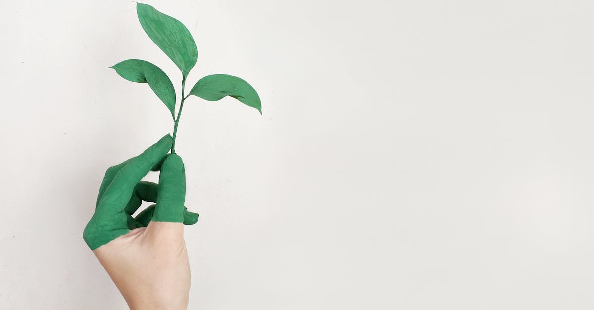 découvrez l'importance de la durabilité et son impact sur notre environnement. apprenez comment adopter des pratiques écoresponsables pour un avenir meilleur.