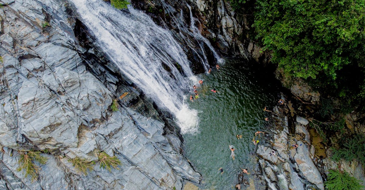 découvrez l'importance et la richesse de la biodiversité, les menaces qui pèsent sur notre environnement et les actions à entreprendre pour préserver la variété des espèces et des écosystèmes qui soutiennent la vie sur terre.