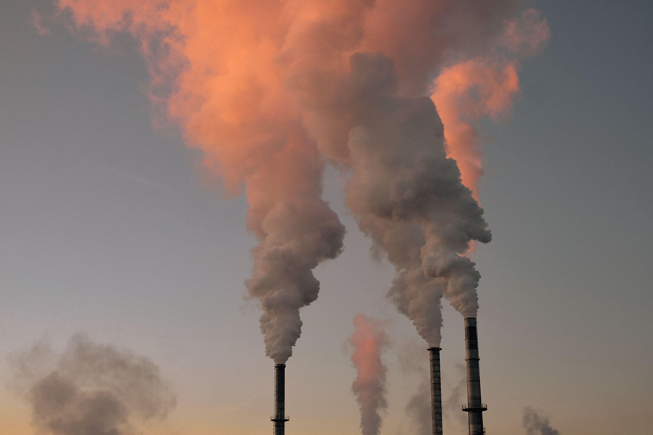 découvrez tout sur l'environnement : protection de la nature, développement durable et actions pour un avenir plus vert.