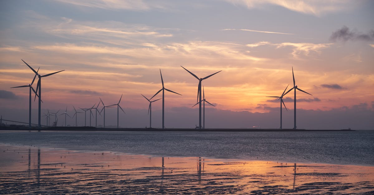 découvrez l'écologie, une science essentielle pour comprendre les interactions entre les êtres vivants et leur environnement. apprenez comment préserver notre planète, favoriser la biodiversité et adopter des pratiques durables pour un avenir sain et équilibré.