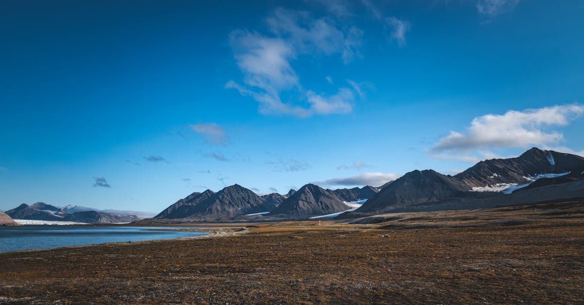 découvrez les différents scénarios climatiques qui façonnent notre compréhension des futurs possibles de la planète. explorez les impacts potentiels sur l'environnement, l'économie et la société, et préparez-vous à mieux comprendre les enjeux du changement climatique.