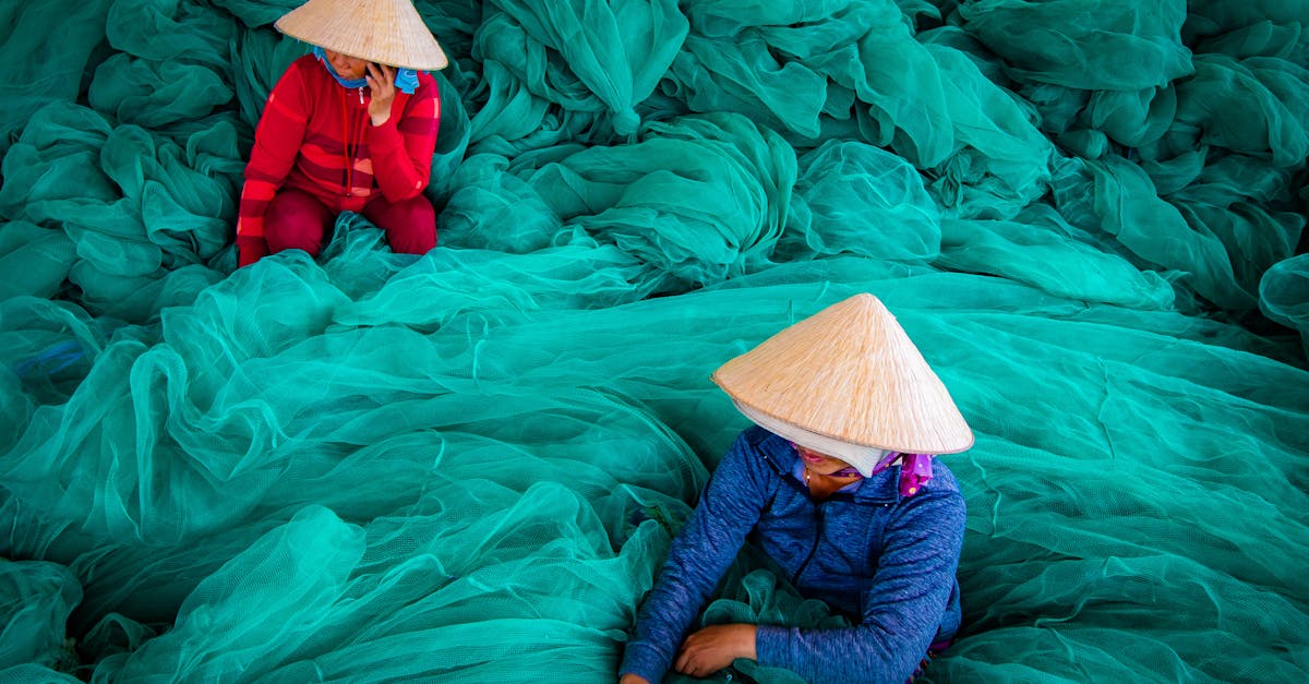 découvrez des pratiques durables qui favorisent un mode de vie respectueux de l'environnement. apprenez à intégrer des solutions écologiques dans votre quotidien pour un avenir plus vert.