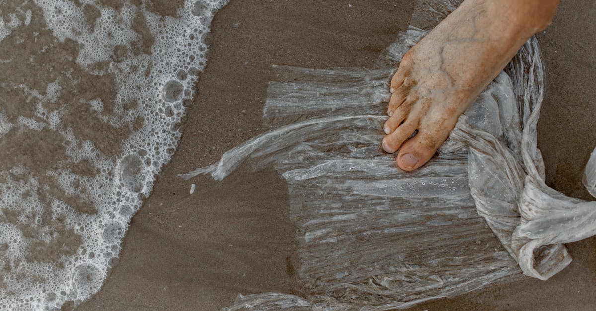 découvrez l'empreinte écologique, une mesure essentielle de l'impact de nos activités sur l'environnement. apprenez comment évaluer et réduire votre empreinte pour contribuer à un avenir durable.
