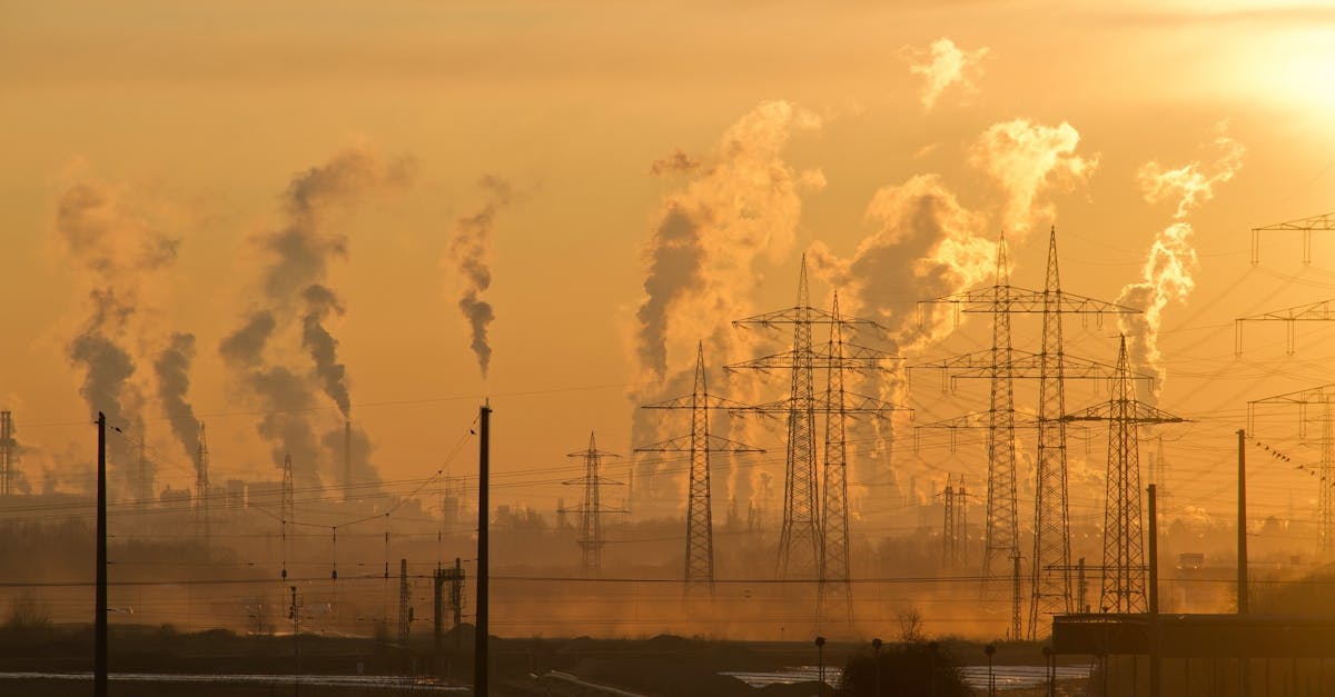 découvrez les différentes facettes de la pollution, ses causes, ses conséquences sur l'environnement et la santé, ainsi que les solutions pour réduire son impact. informez-vous sur les enjeux écologiques actuels et engagez-vous pour un avenir plus durable.