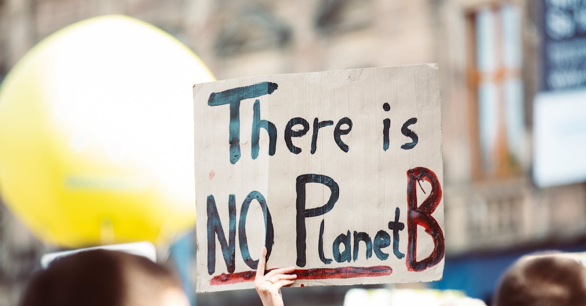 Protection de l’environnement : Comment agir pour préserver notre planète