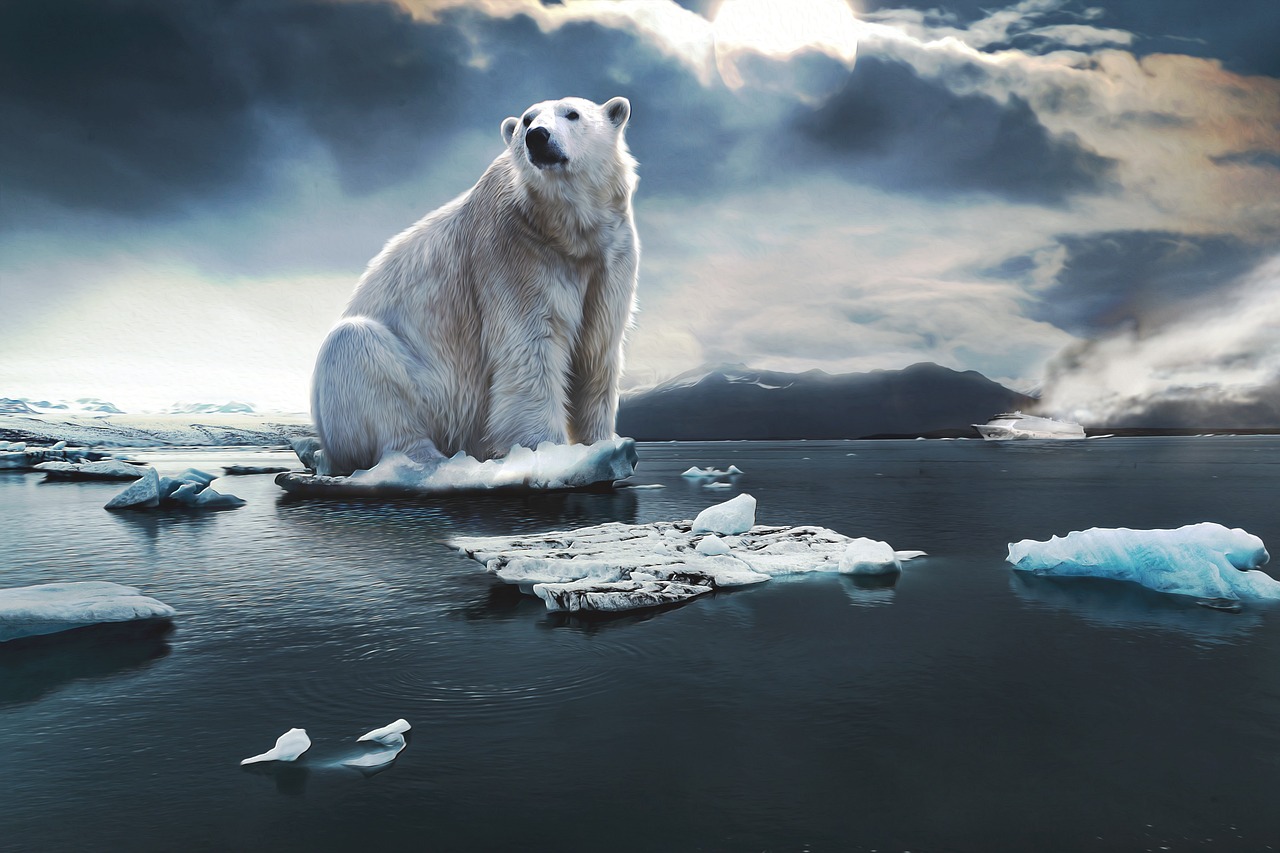 Changements climatiques : 5 gestes simples pour réduire votre impact environnemental