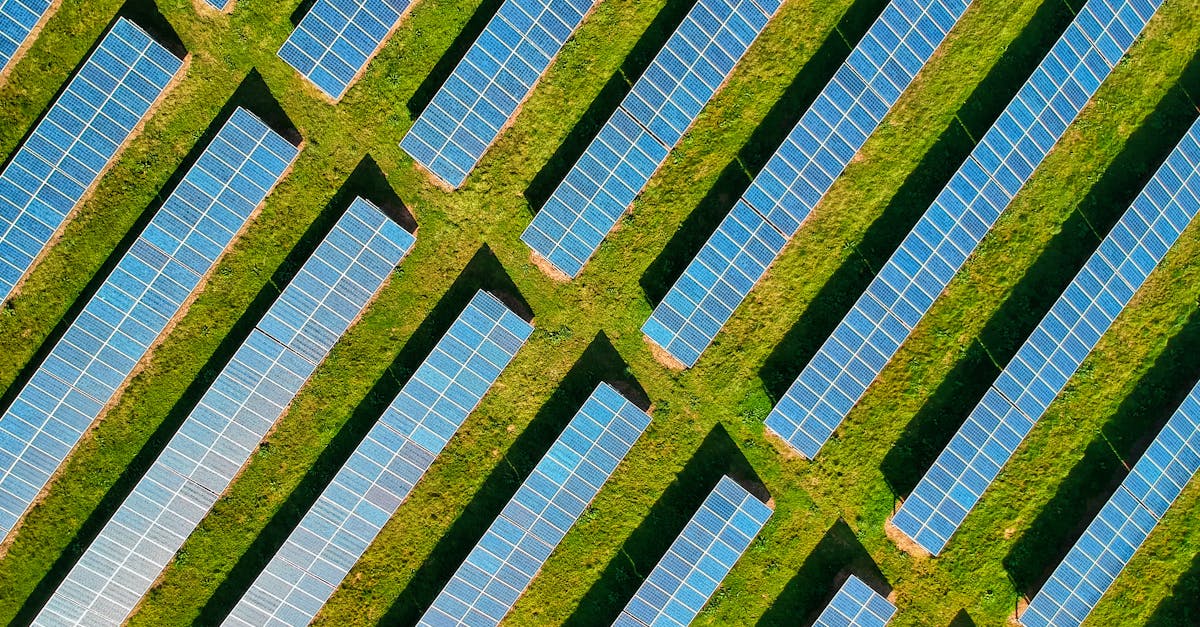 Énergie solaire : comment elle transforme notre mode de vie et diminue les factures d’électricité