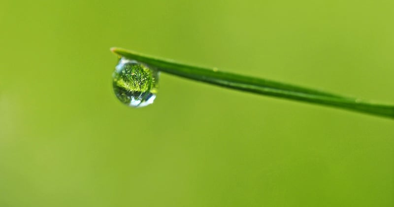 Comment recycler l'eau de pluie pour arroser son jardin et économiser