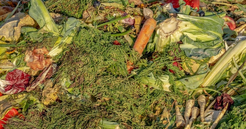 Comment composter déchets organiques en appartement sans odeurs