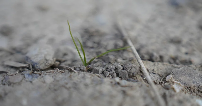 Comment adapter l'agriculture au changement climatique ?