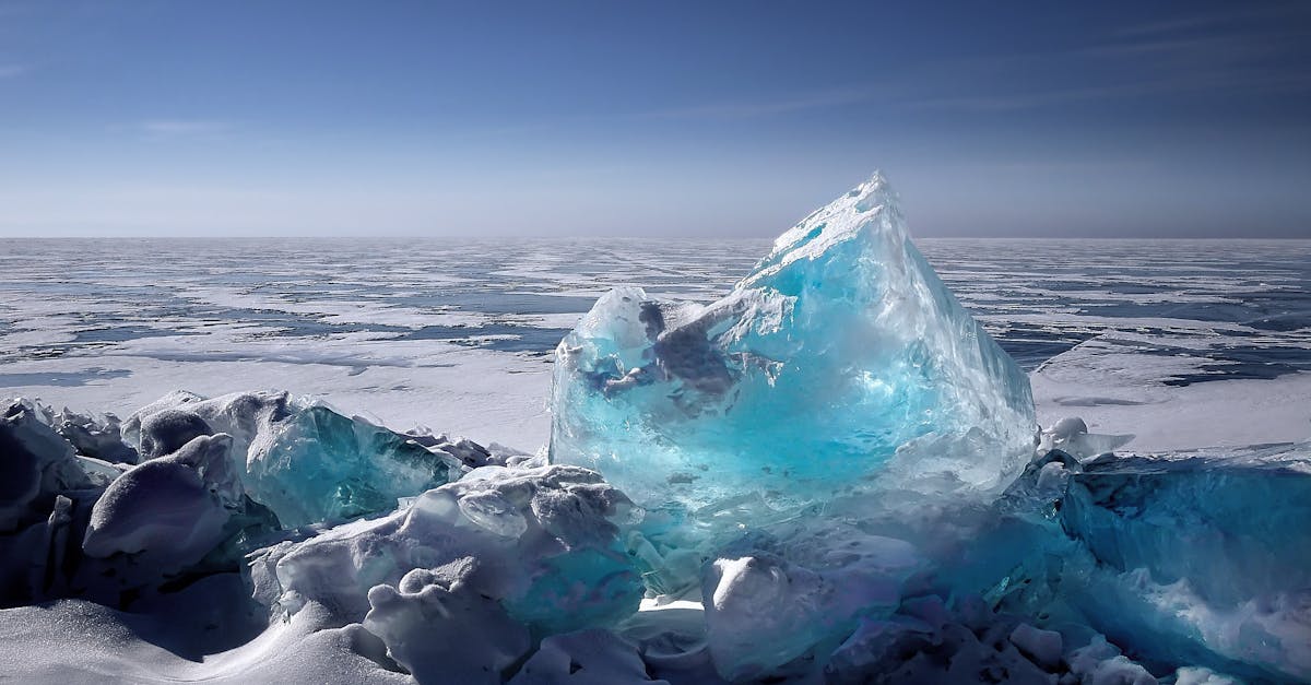 Lutte contre le changement climatique : 10 actions concrètes pour agir dès aujourd’hui