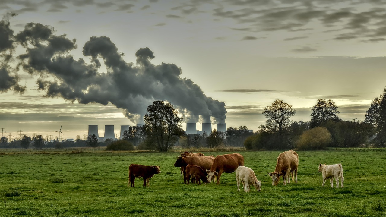 ODD13 : Agir sans délai pour combattre les changements climatiques et en atténuer les impacts