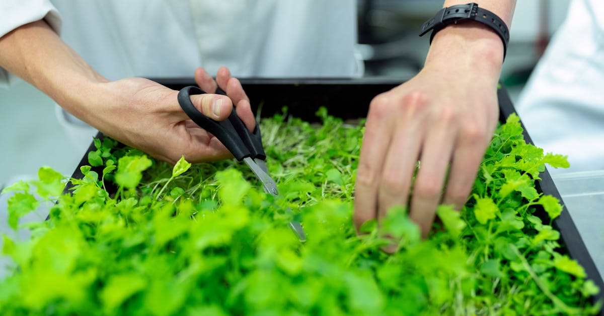Environnement : comment protéger notre planète pour les générations futures
