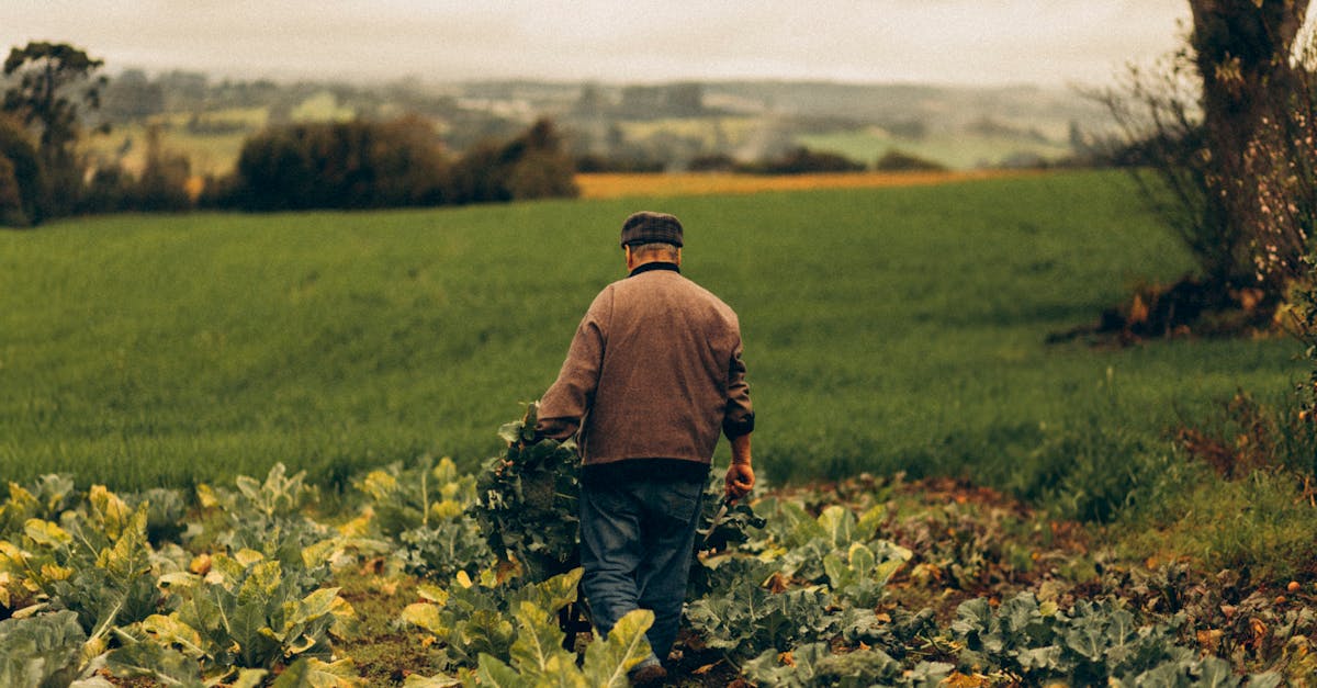 Agriculture durable : Vers une révolution écologique dans la production alimentaire