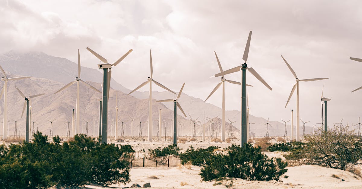 Engagement pour le climat : Actions concrètes pour un avenir durable