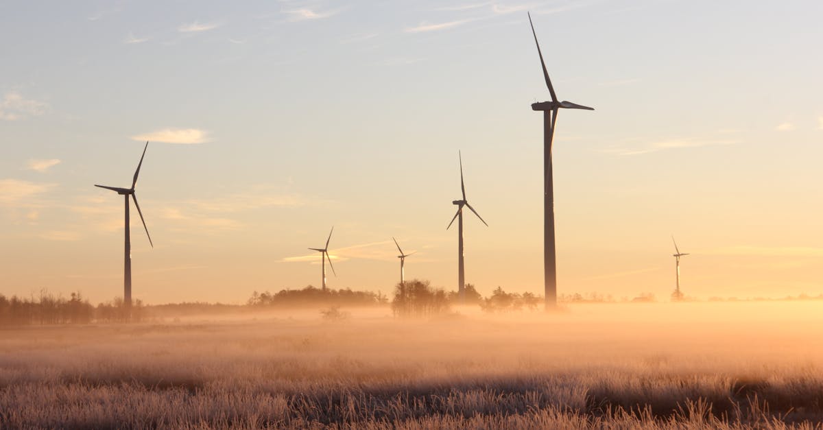 Interventions écologiques : Stratégies pour préserver notre environnement