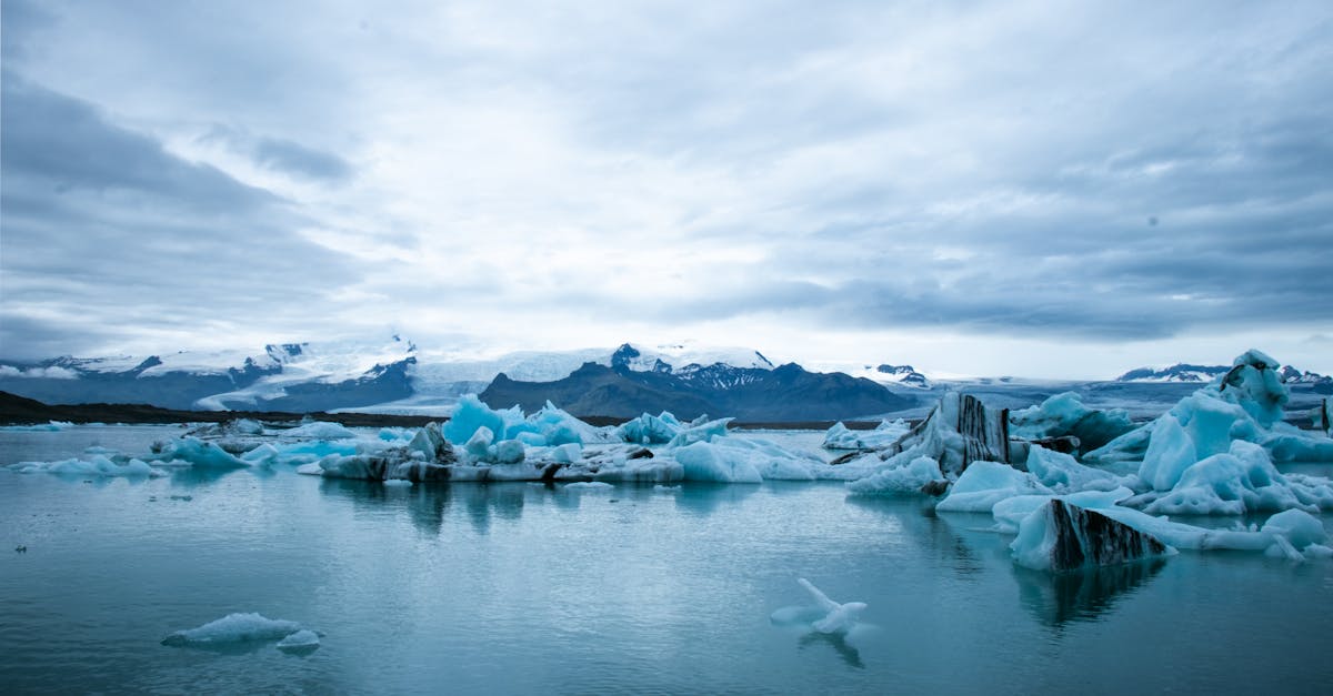 Changements climatiques : impacts et solutions pour un avenir durable