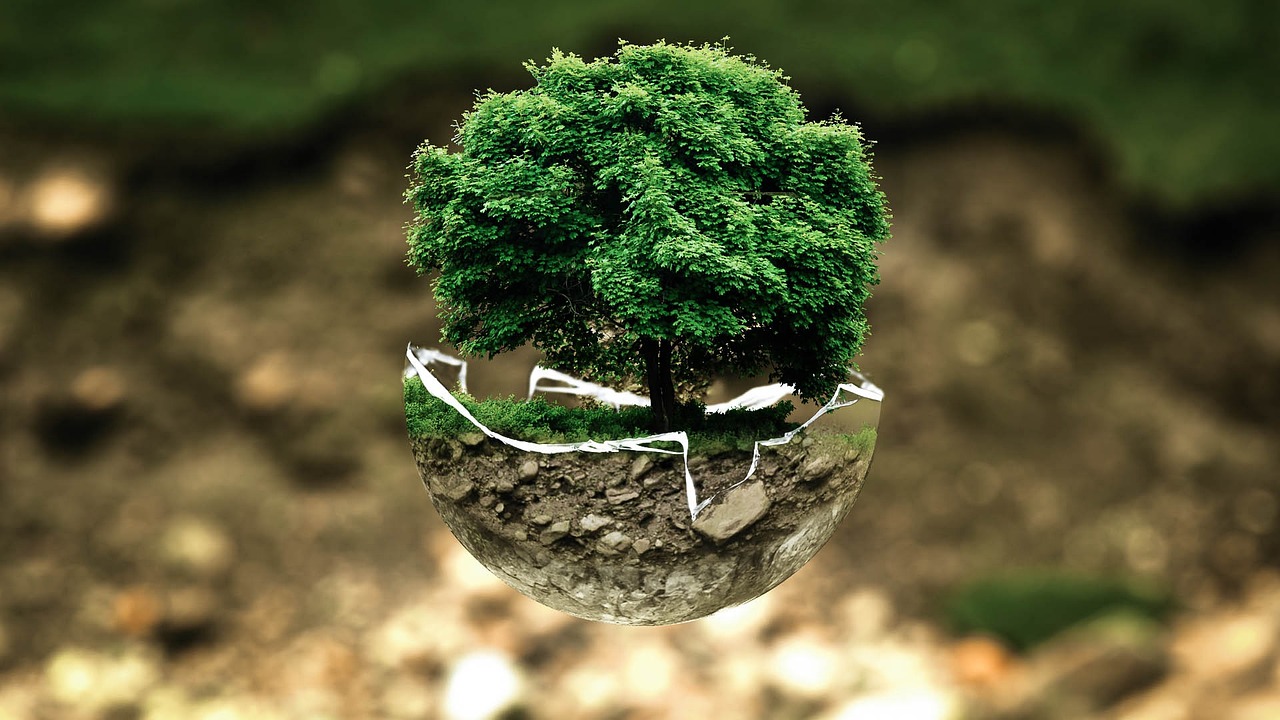 Les KPIs environnementaux : des outils indispensables pour guider la transition écologique d’une entreprise responsable