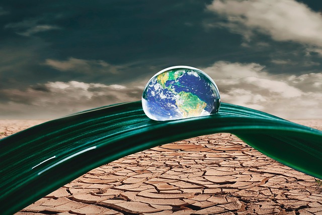 COP30 à Belém : redonner de l’élan à la lutte contre le changement climatique