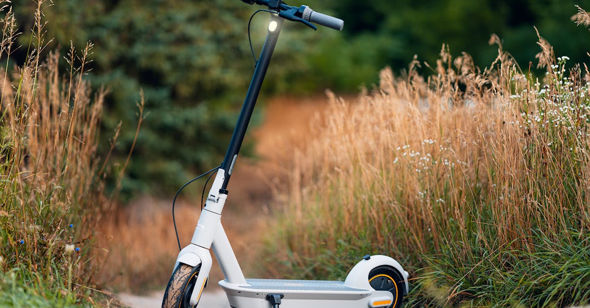 Systèmes de transport durables : vers une mobilité respectueuse de l’environnement