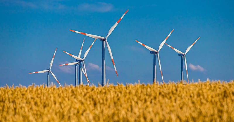 Éoliennes domestiques : la vraie rentabilité pour les particuliers