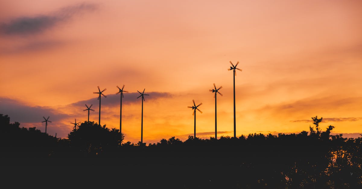 Approvisionnement durable : Strategies pour une chaîne d’approvisionnement respectueuse de l’environnement