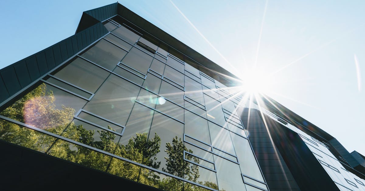 Technologies vertes : les innovations qui transforment notre avenir durable