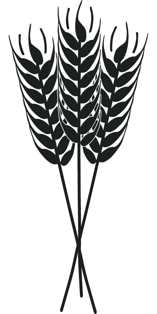 Les prairies et légumineuses : piliers d’une agriculture durable et bas-carbone selon The Shift Project