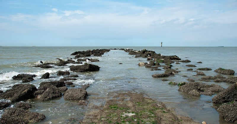 Comment les villes côtières réinventent leur adaptation face à la montée des eaux