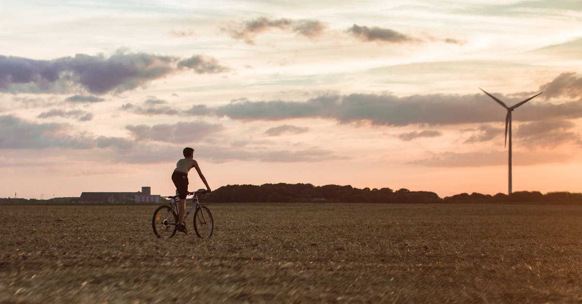 Sustainable development : les enjeux et solutions pour un avenir responsable