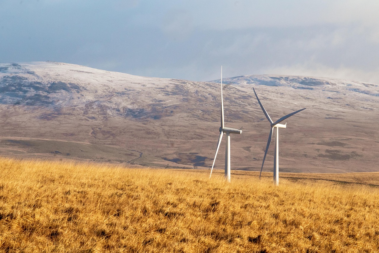 Énergies renouvelables : la Fédération de l’électricité dénonce les concessions et tire la sonnette d’alarme sur la situation