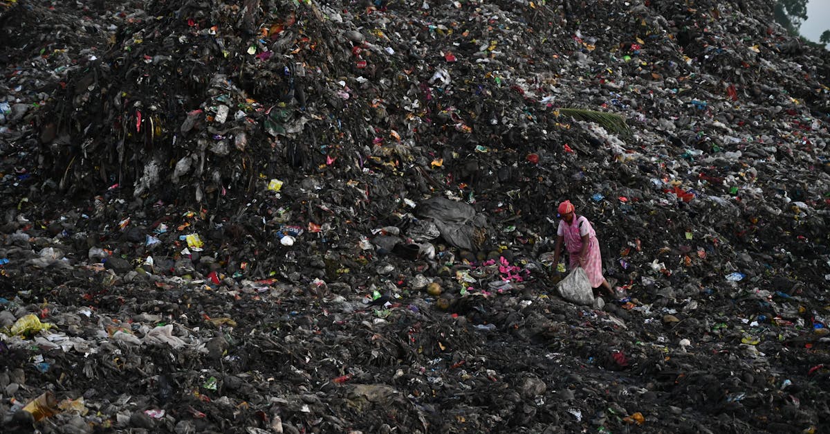 Impact environnemental : comprendre les conséquences de nos actions sur la planète