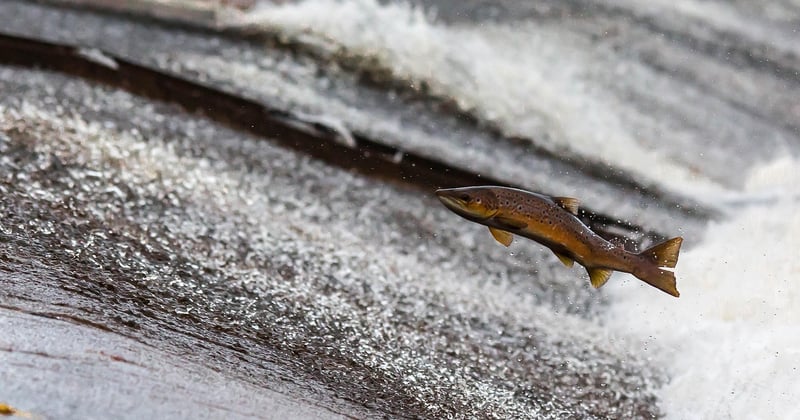 Impact changement climatique sur ressources en eau douce : alerte