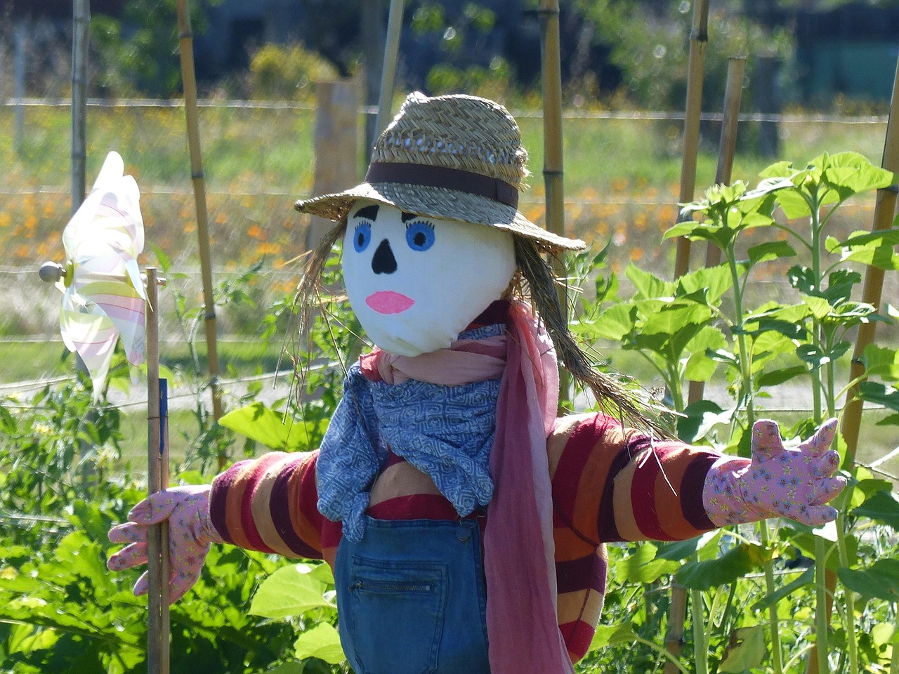 Potager urbain permaculture : conseils pratiques pour créer un espace comestible durable en ville
