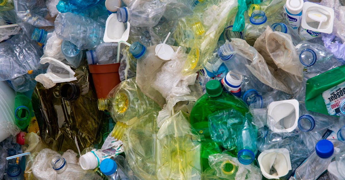 Sensibilisation environnementale : Comprendre les enjeux pour préserver notre planète