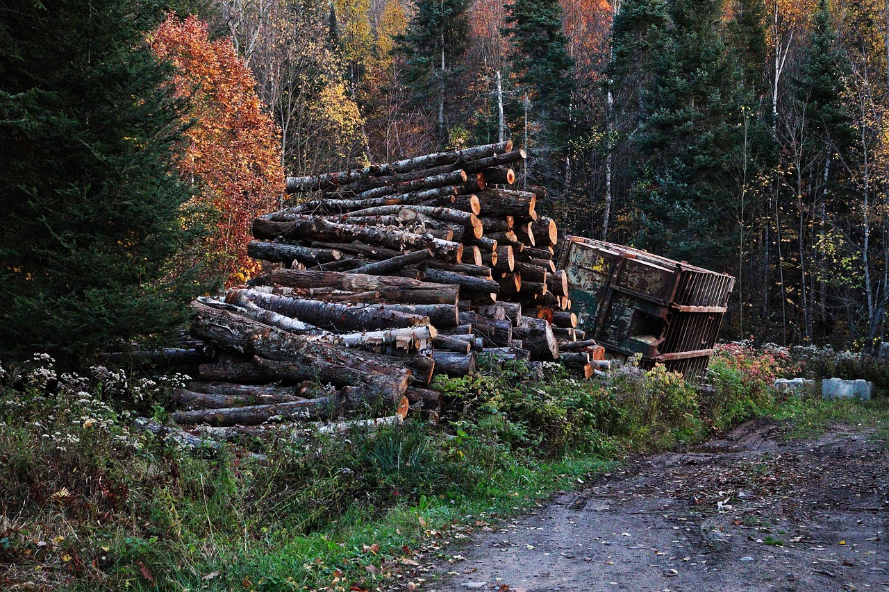 Brésil : un nouveau plan climatique place la lutte contre la déforestation au premier plan