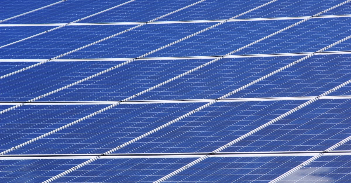 Préservation des ressources : 10 conseils pratiques pour un mode de vie durable