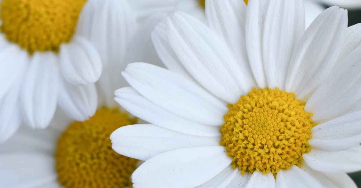 Respect de la biodiversité : pourquoi il est crucial pour notre avenir