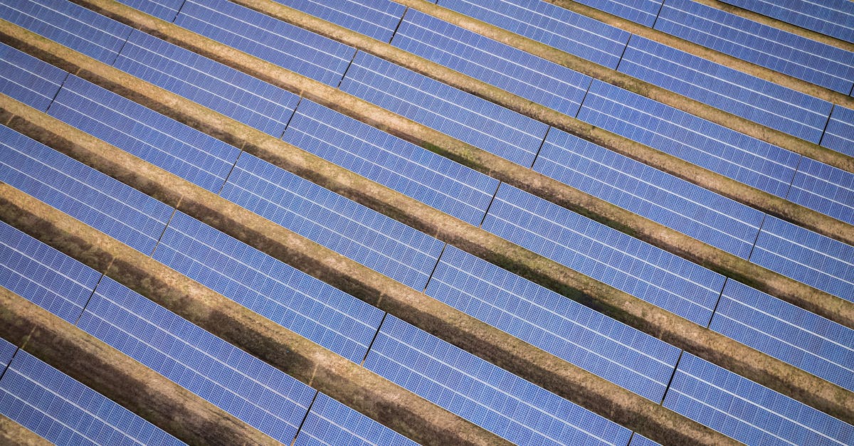 Loi sur la transition énergétique : Vers une nouvelle ère pour les énergies renouvelables