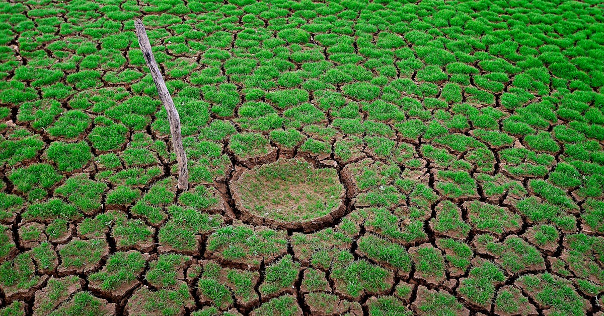 Rapports d’impact environnemental : comprendre leur importance pour une planète durable