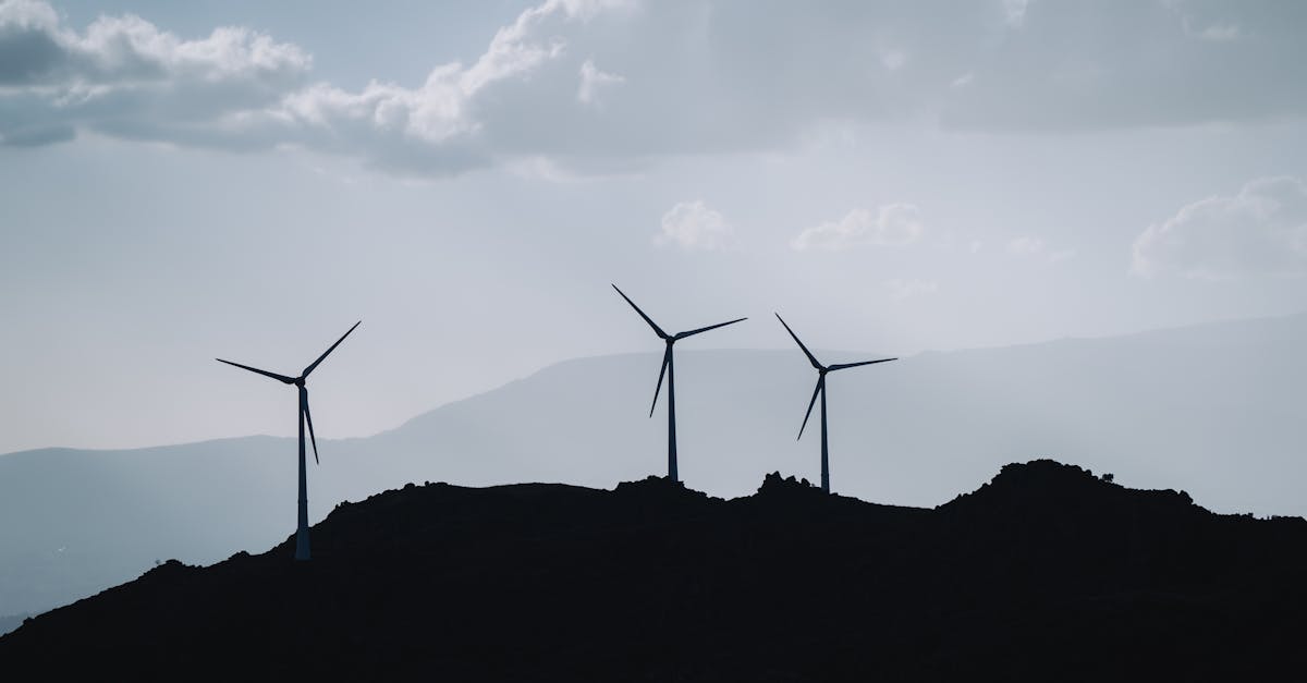 Réduction des émissions : Stratégies efficaces pour un avenir durable