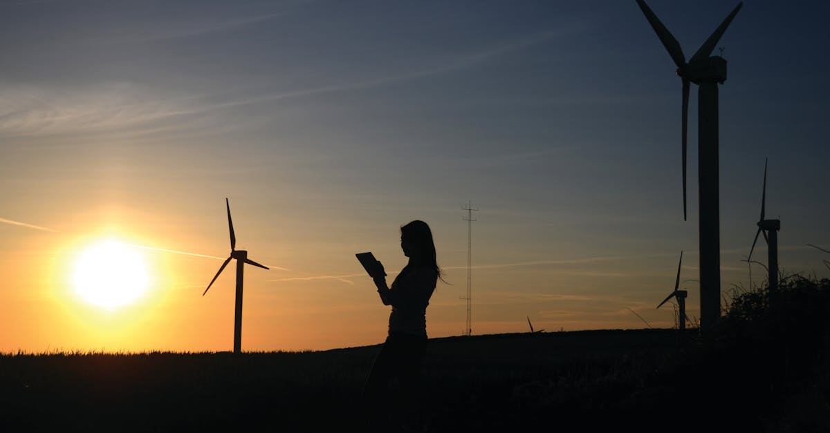 Tendances environnementales : vers un avenir plus durable