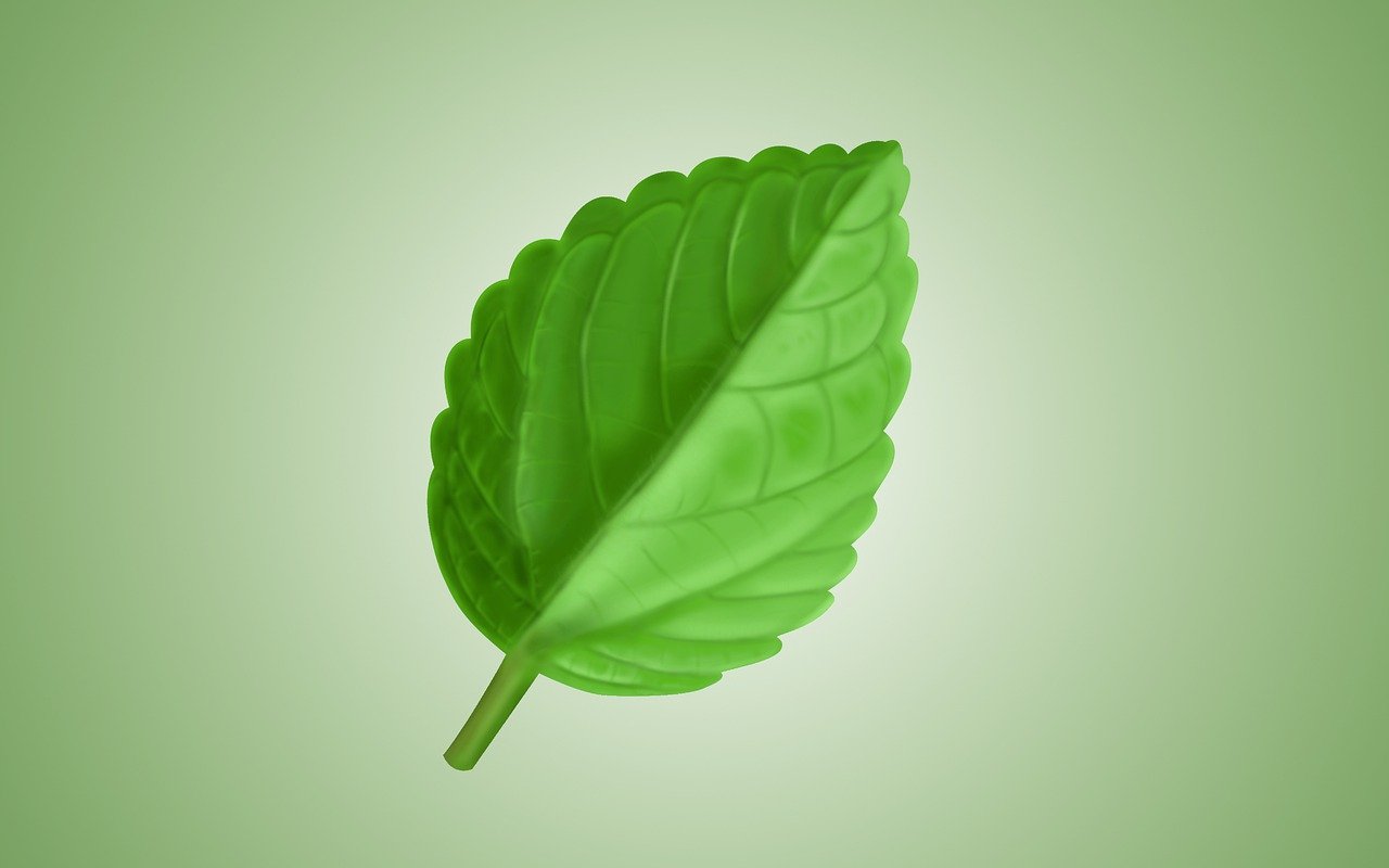 Produits ménagers écologiques : comment adopter des alternatives saines et efficaces pour votre maison
